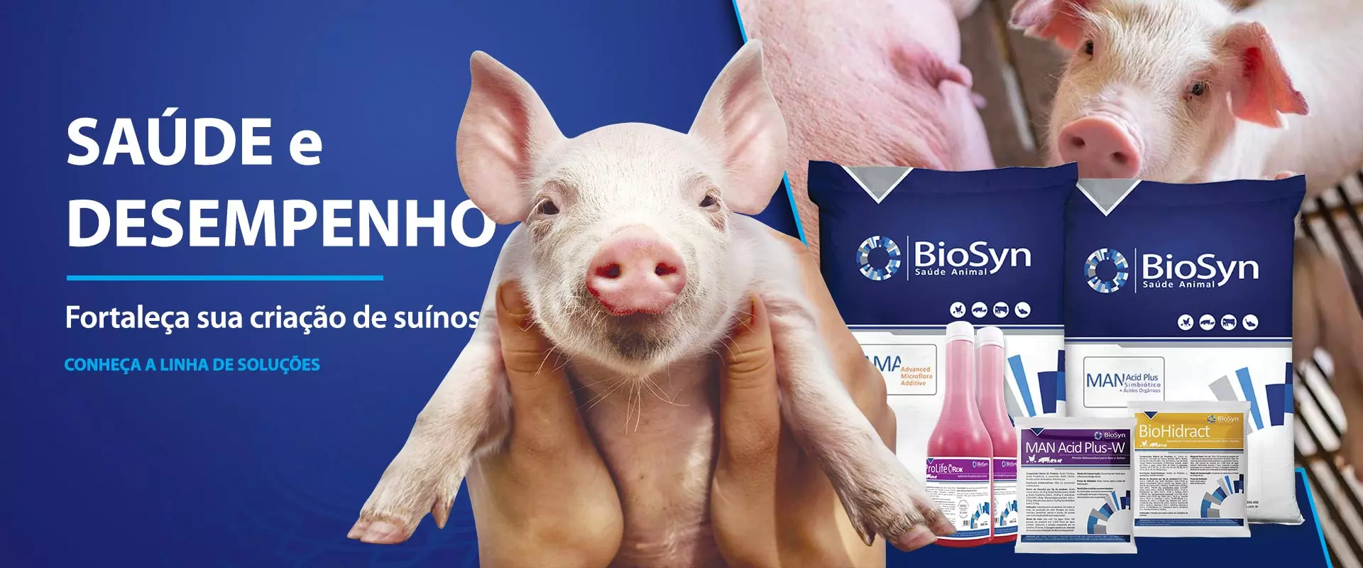 Banner da categoria Suínos na Biosyn