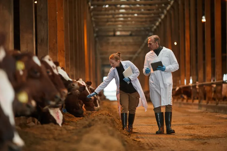 Sustentabilidade: o que é e como pode ser aplicada na produção animal